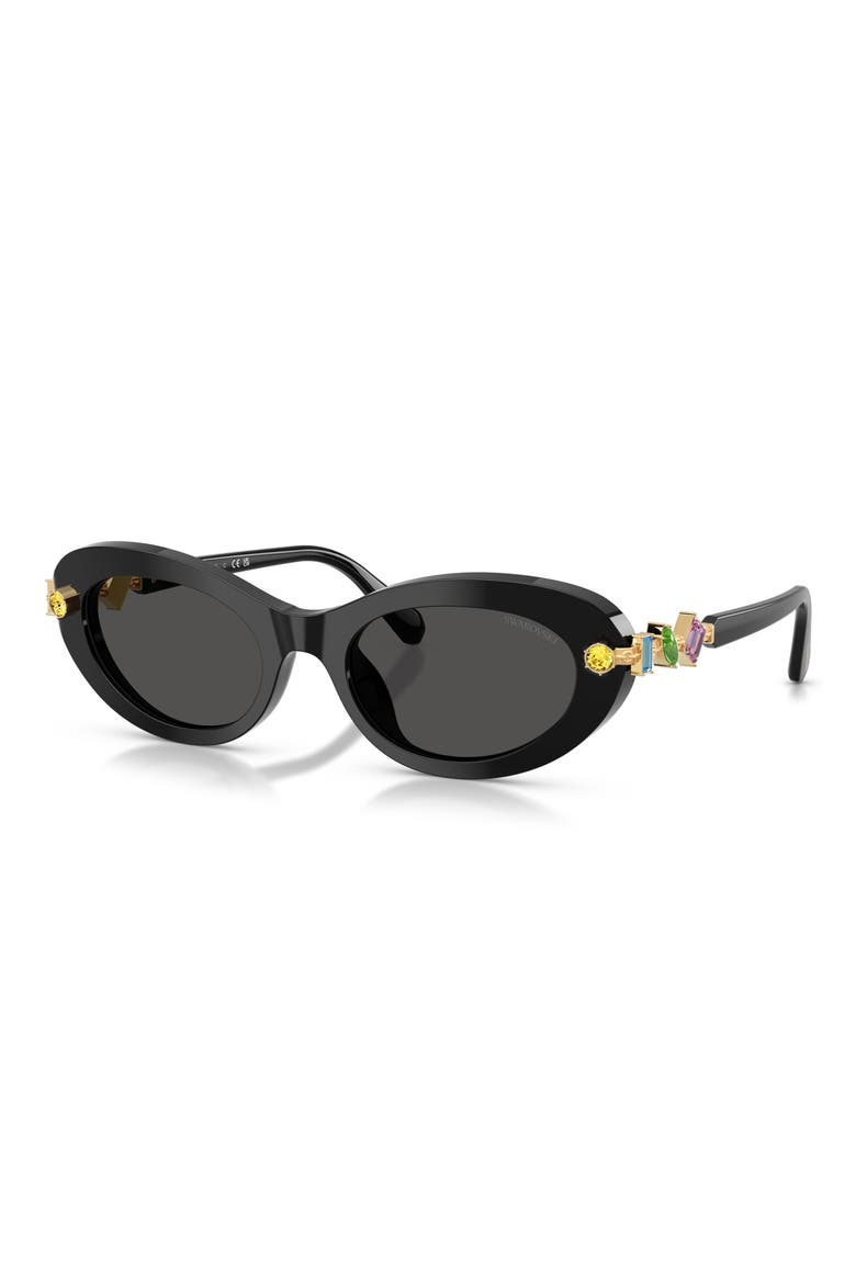 53mm Oval Sunglasses, Alternate, color, BLACK / DARK GREY