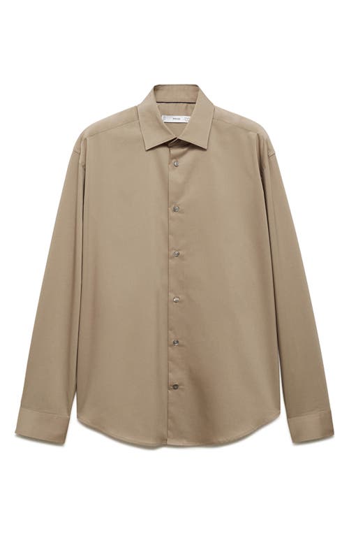 Mango Regular Fit Stretch Poplin Button-up Shirt In Medium Brown