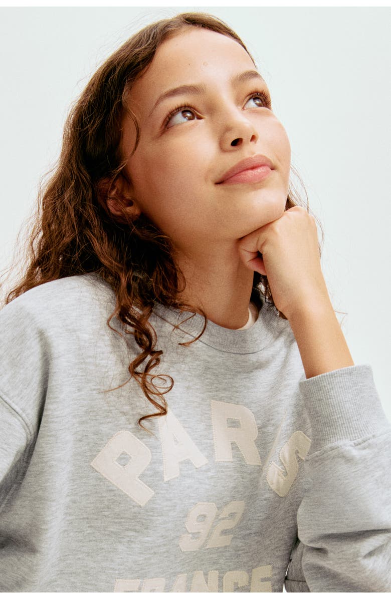 H&M Motif-detail Sweatshirt, Alternate, color, Light Gray Melange/Paris