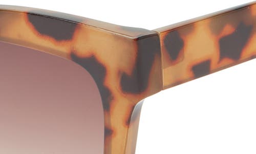 Bp. Gradient Chunky Cat Eye Sunglasses In Tortoise