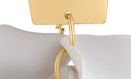 Jardin Ginkgo Leaf Flutter Drop Earrings