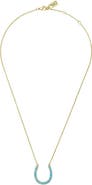 NATIVE GEM Lucky Turquoise Horseshoe Necklace