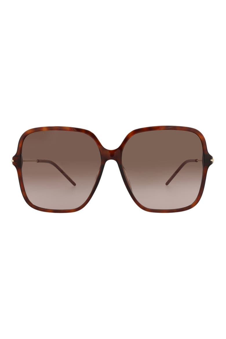 60mm Oversize Sunglasses, Main, color, HAVANA GOLD BROWN