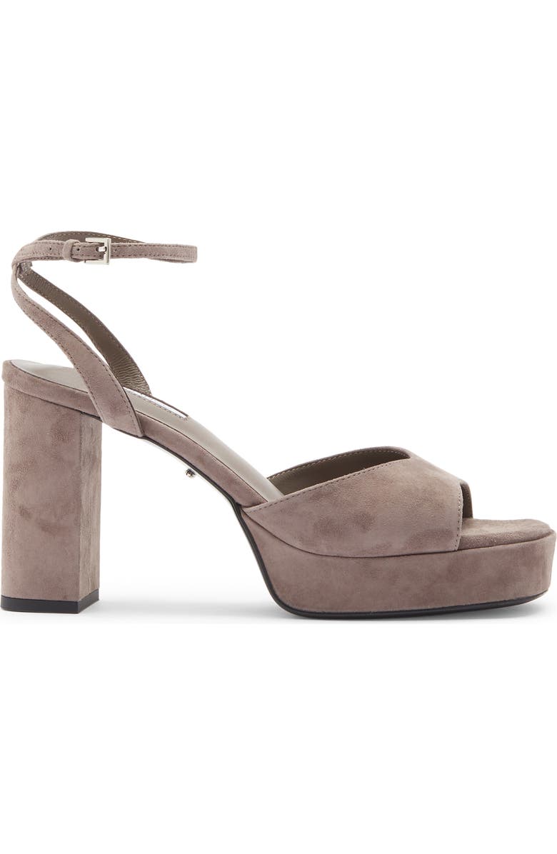Tony Bianco Freya Ankle Strap Slide Sandals, Alternate, color, Ashen Suede