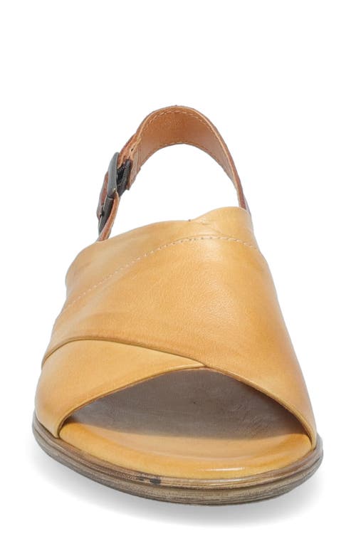 Miz Mooz Dorothy Slingback Flat In Almond