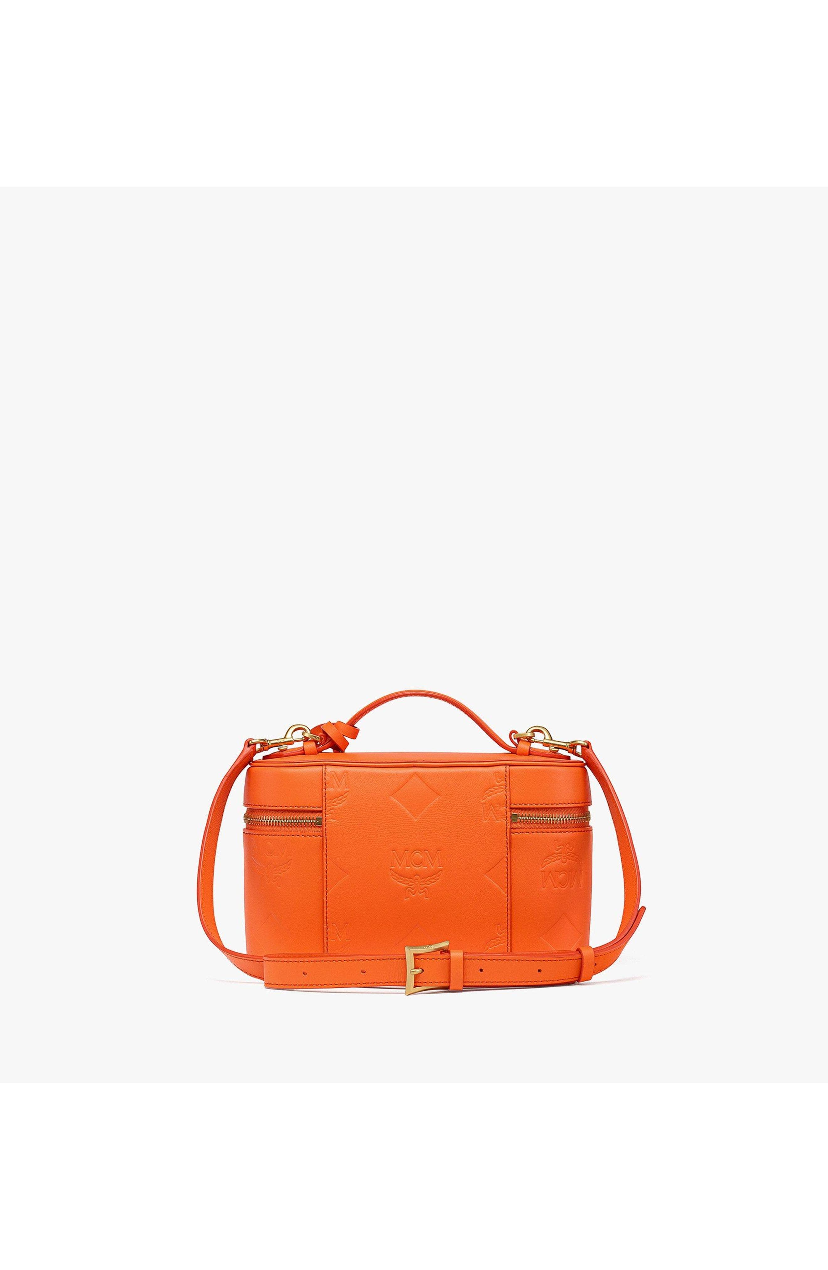 Small Aren Vanity Case in Maxi Monogram Leather, Alternate, color, Orange Slce
