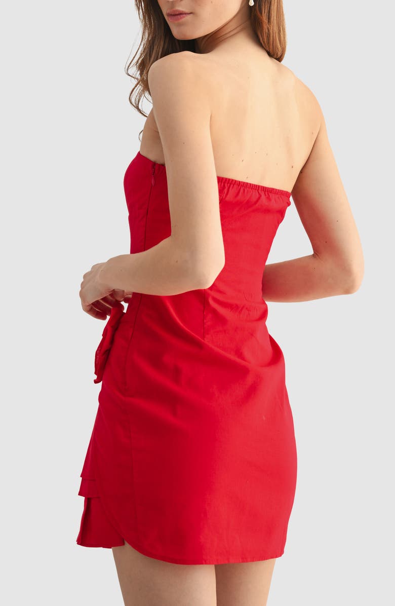 Lush Rose Appliqué Minidress, Alternate, color, Red