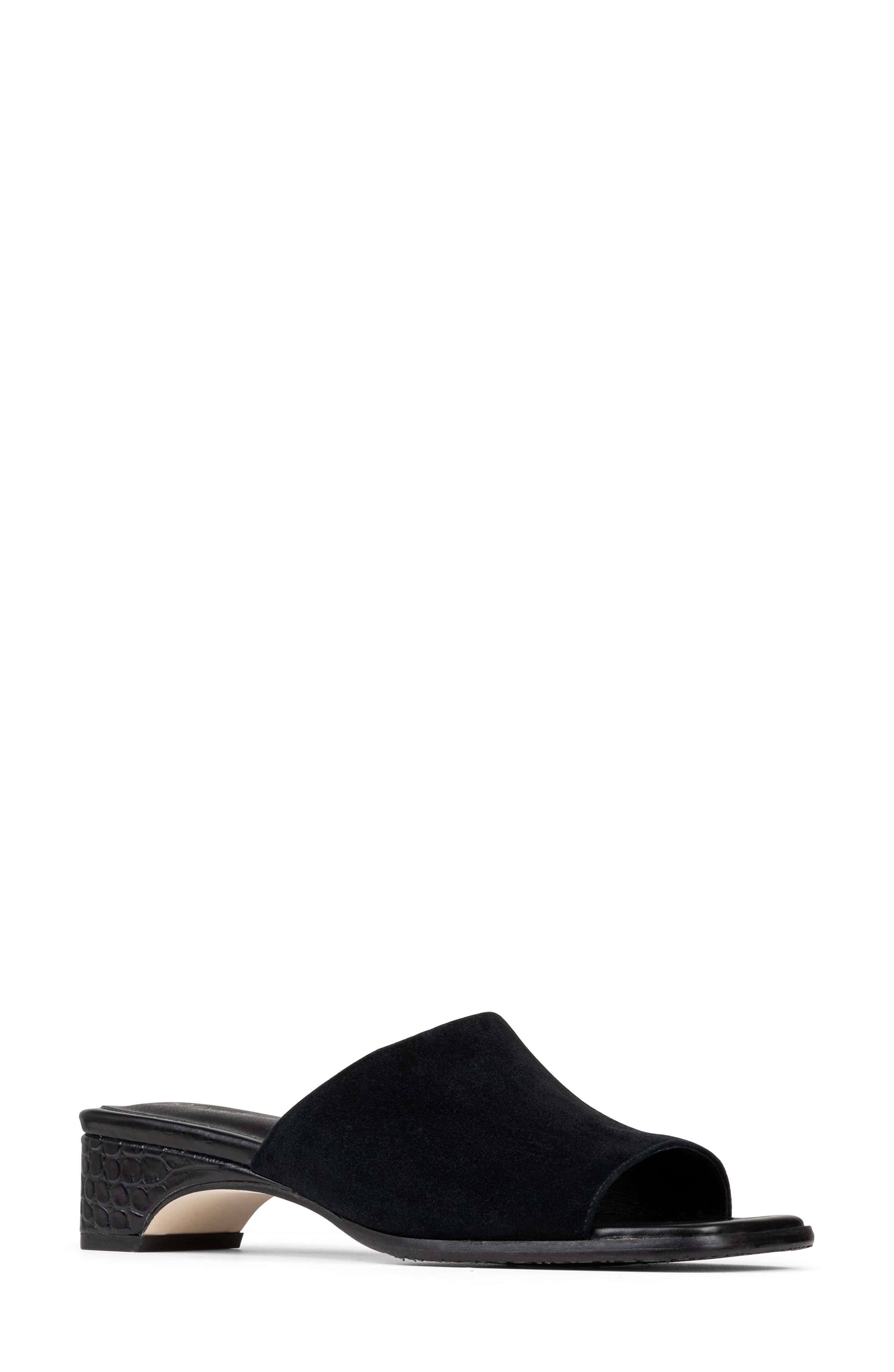 Donald Pliner Clodie Slide Sandal, Main, color, Black