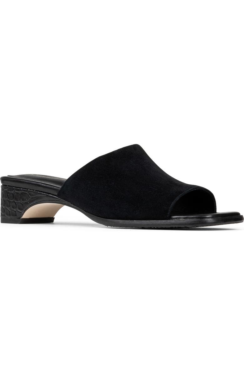 Donald Pliner Clodie Slide Sandal, Main, color, Black