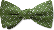 Beau Ties of Vermont Oriel Bow Tie