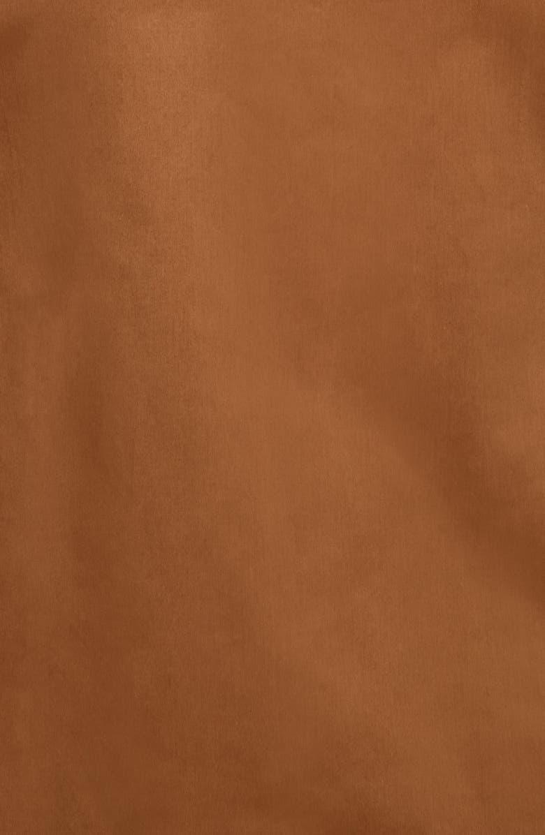 The Lulo Project Pompon Contrast Detail Stretch Cotton Shirtdress, Alternate, color, Chocolate 18