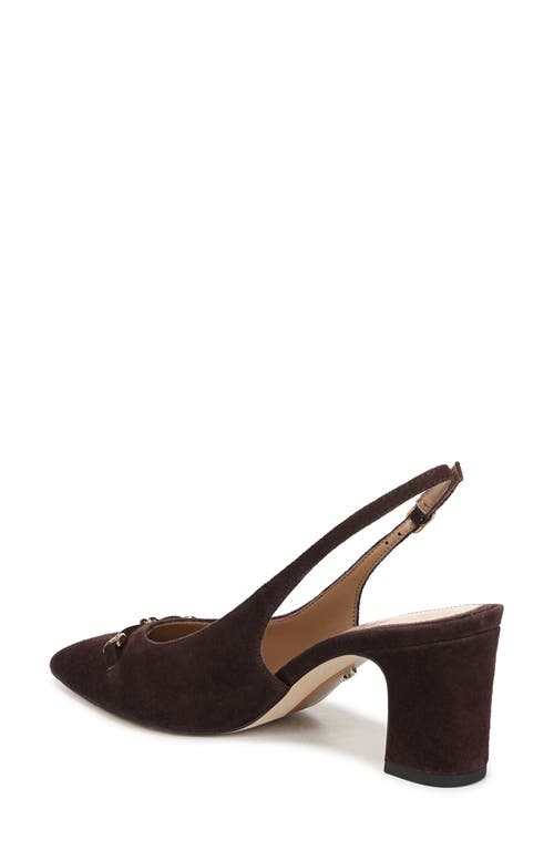 Sam Edelman Waller Pointed Toe Slingback Pump
