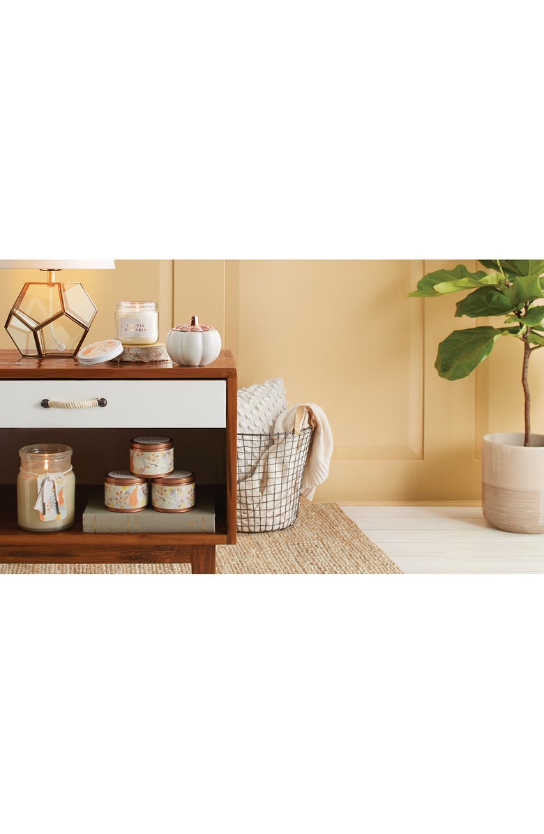 ILLUME<sup>®</sup> Rustic Pumpkin Lidded Ceramic Candle, Alternate, color,