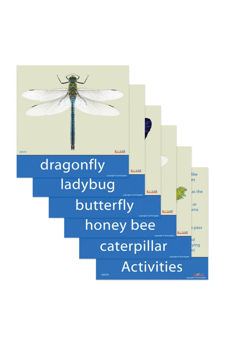 Kaplan Early Learning Company Garden Insects - Set of 5, Alternate, color, Multicolored