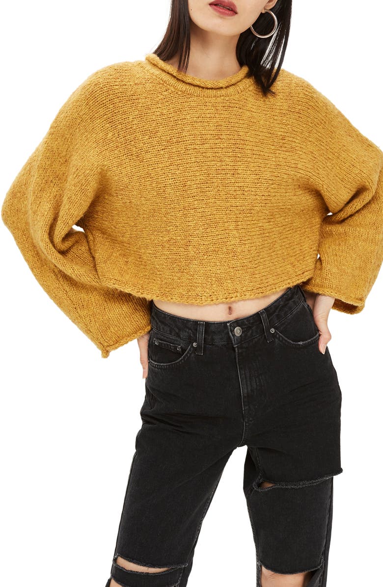 Topshop Punk Roll Neck Crop Sweater, Main, color, 