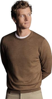 Charles Tyrwhitt Pure Merino Crew Neck Sweater