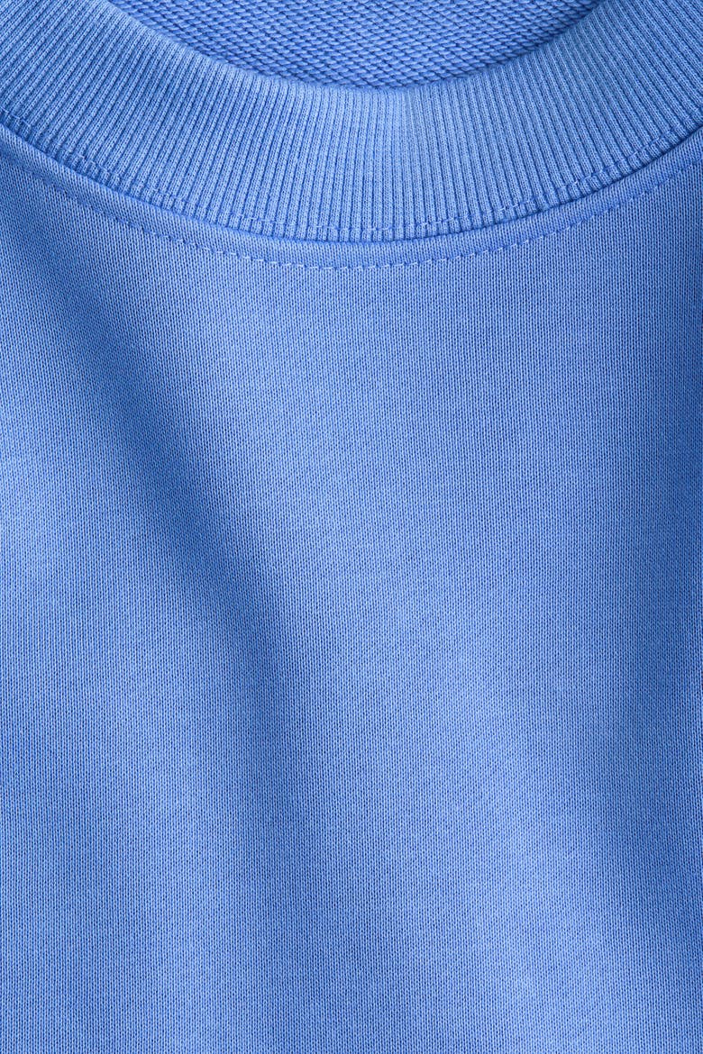 Oversized Cotton Sweatshirt, Alternate, color, Blue