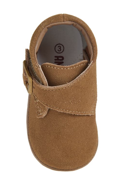L'amour Finch Crib Shoe In Multi