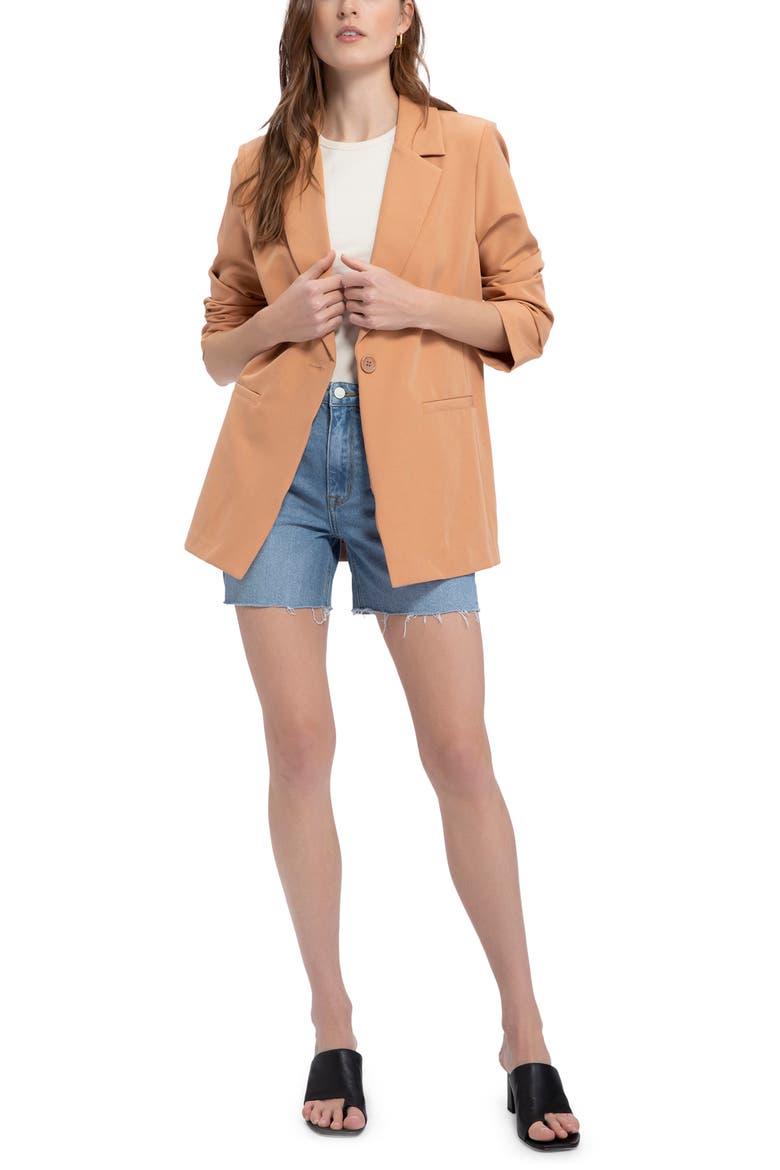 Bryce Woven Blazer, Alternate, color, LION