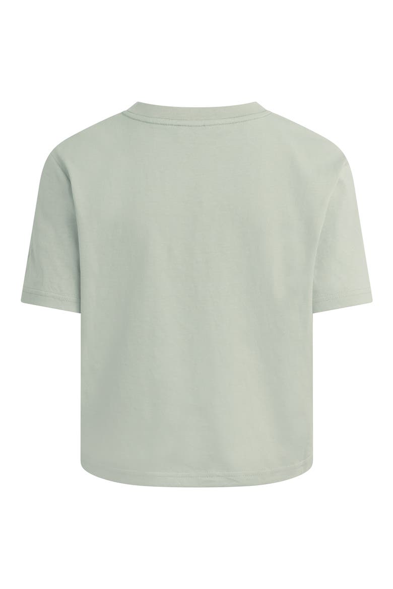 The Favorite T-Shirt, Alternate, color, LIGHT SAGE