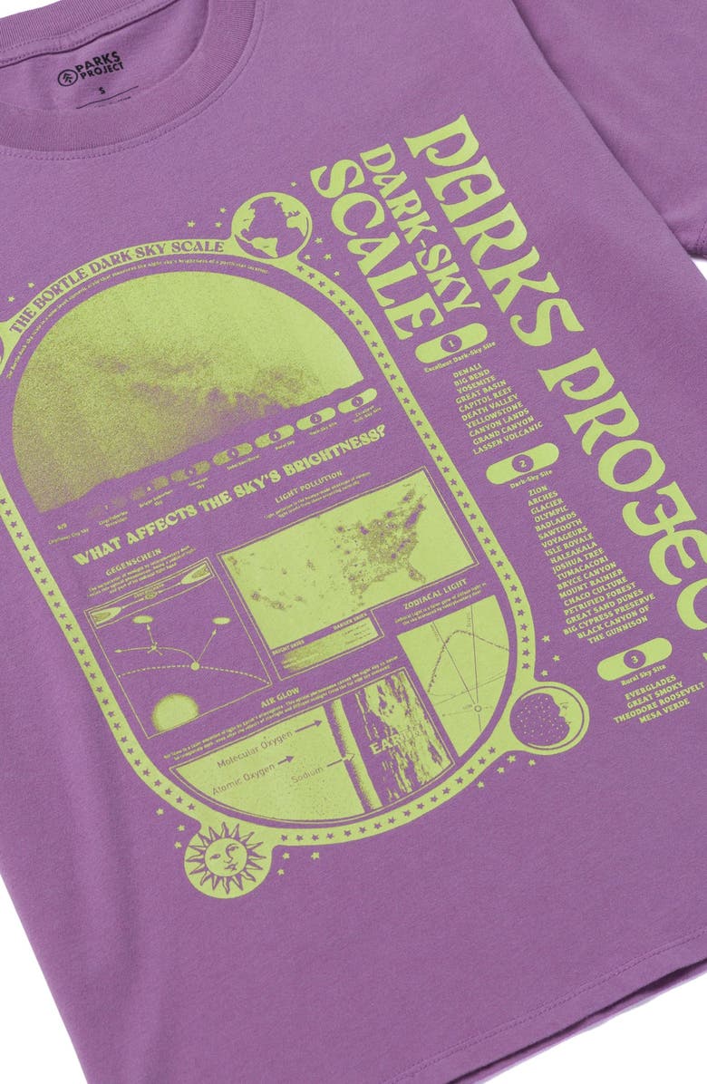 Parks Project Dark Sky Scale Relaxed Tee, Alternate, color, Vintage Plum