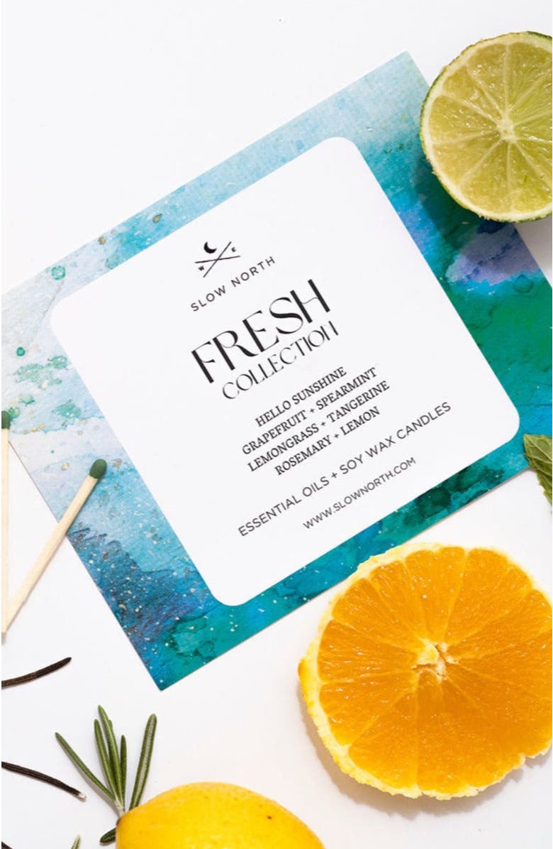 SLOW NORTH Fresh Collection - 4 Pack, Alternate, color, NO COLOR