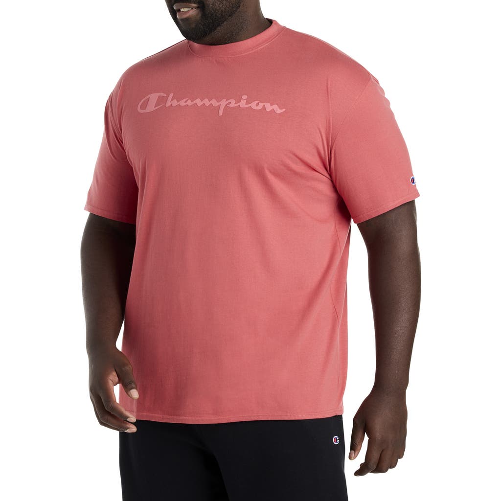 Champion Big & Tall Tonal Script T-shirt In Washed Red Tonal