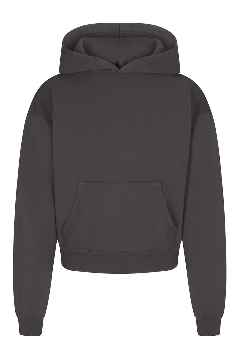 French Terry Classic Hoodie, Alternate, color, ASH