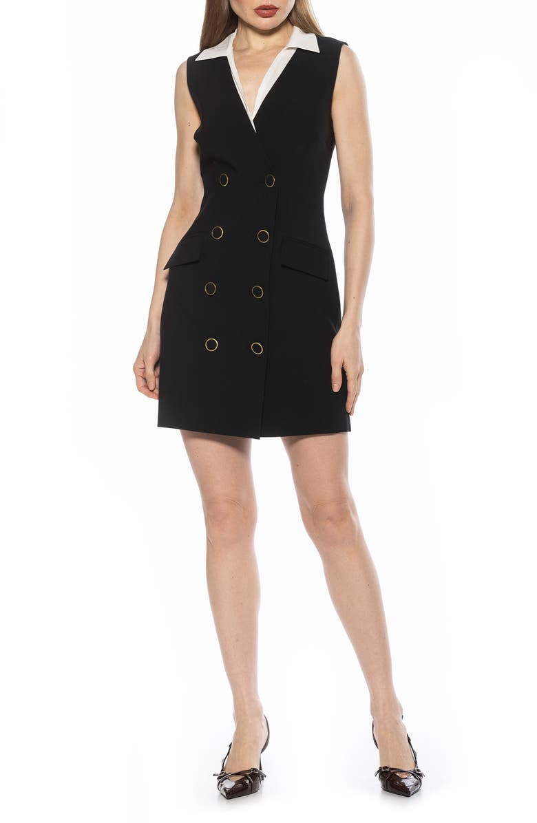 Alexia Admor Rune Vest Dress, Main, color, Black