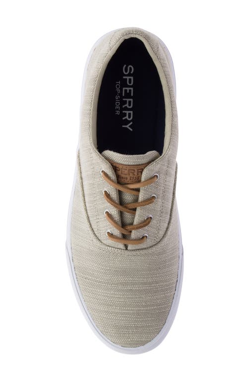 Sperry Striper Ii Cvo Sneaker In Light Pastel Grey