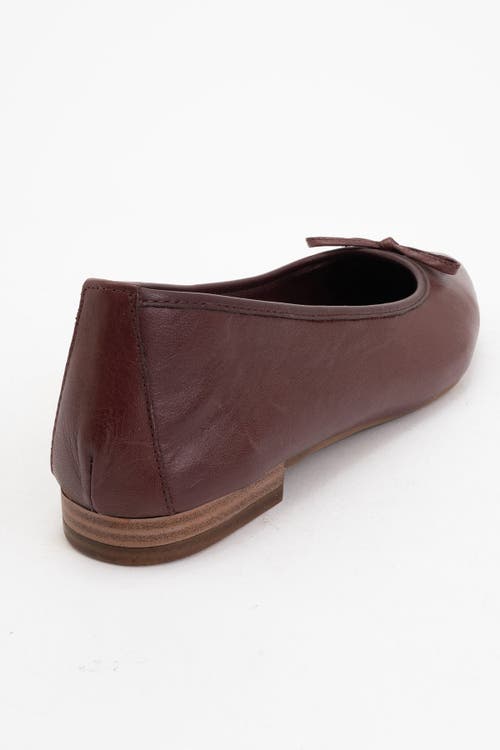 Forever & Always Shoes Ruby Leather Pointed Toe Flats In Burgundy Brown Leather