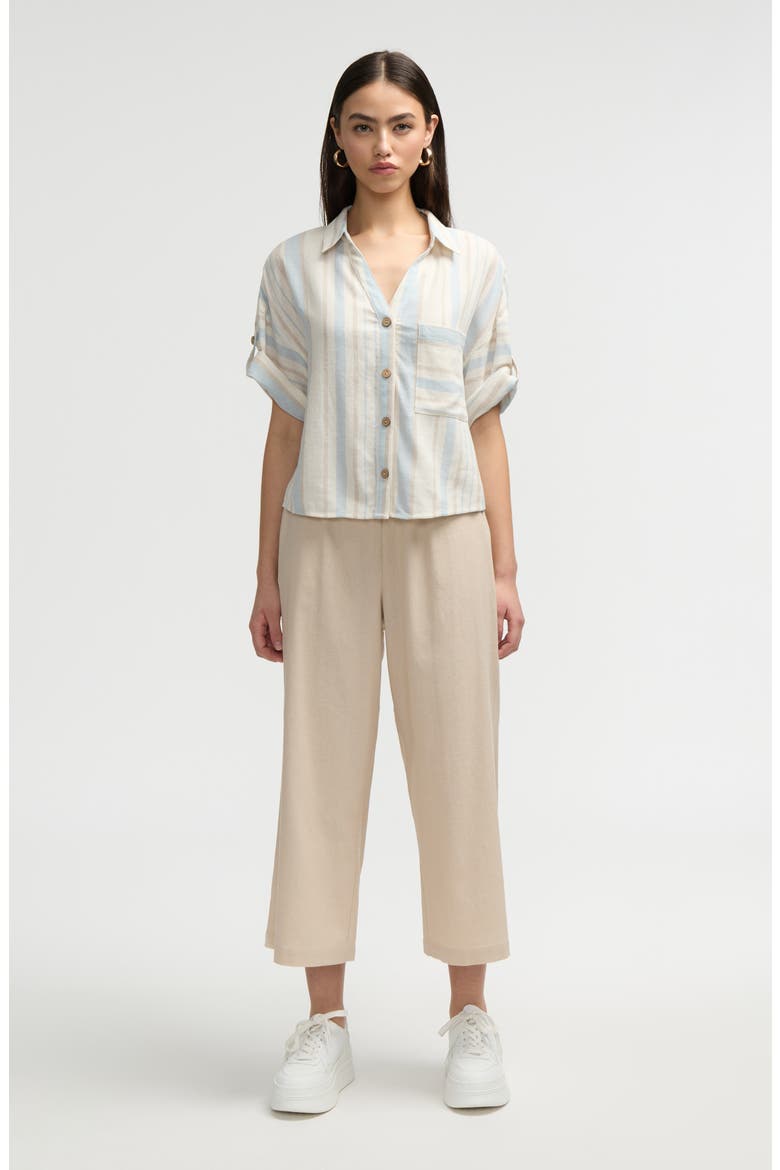 Short Sleeve Crop Button-Up Shirt, Alternate, color, BLUE NATURAL STRIPE