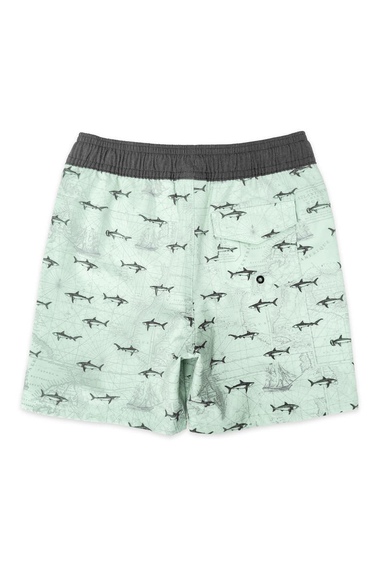 Kids' Classic Fish Print Board Shorts, Alternate, color, SALTWATER