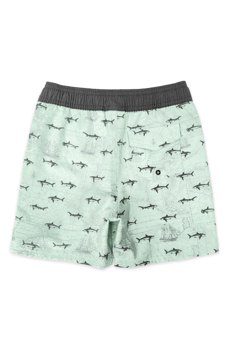 Feather 4 Arrow Kids' Classic Fish Print Board Shorts, Alternate, color, Saltwater