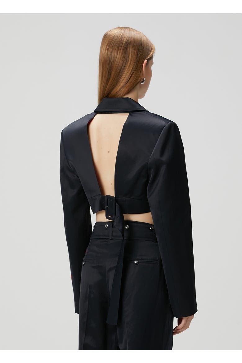 Linen Blend Crop Shiny Woven Jacket, Alternate, color, BLACK