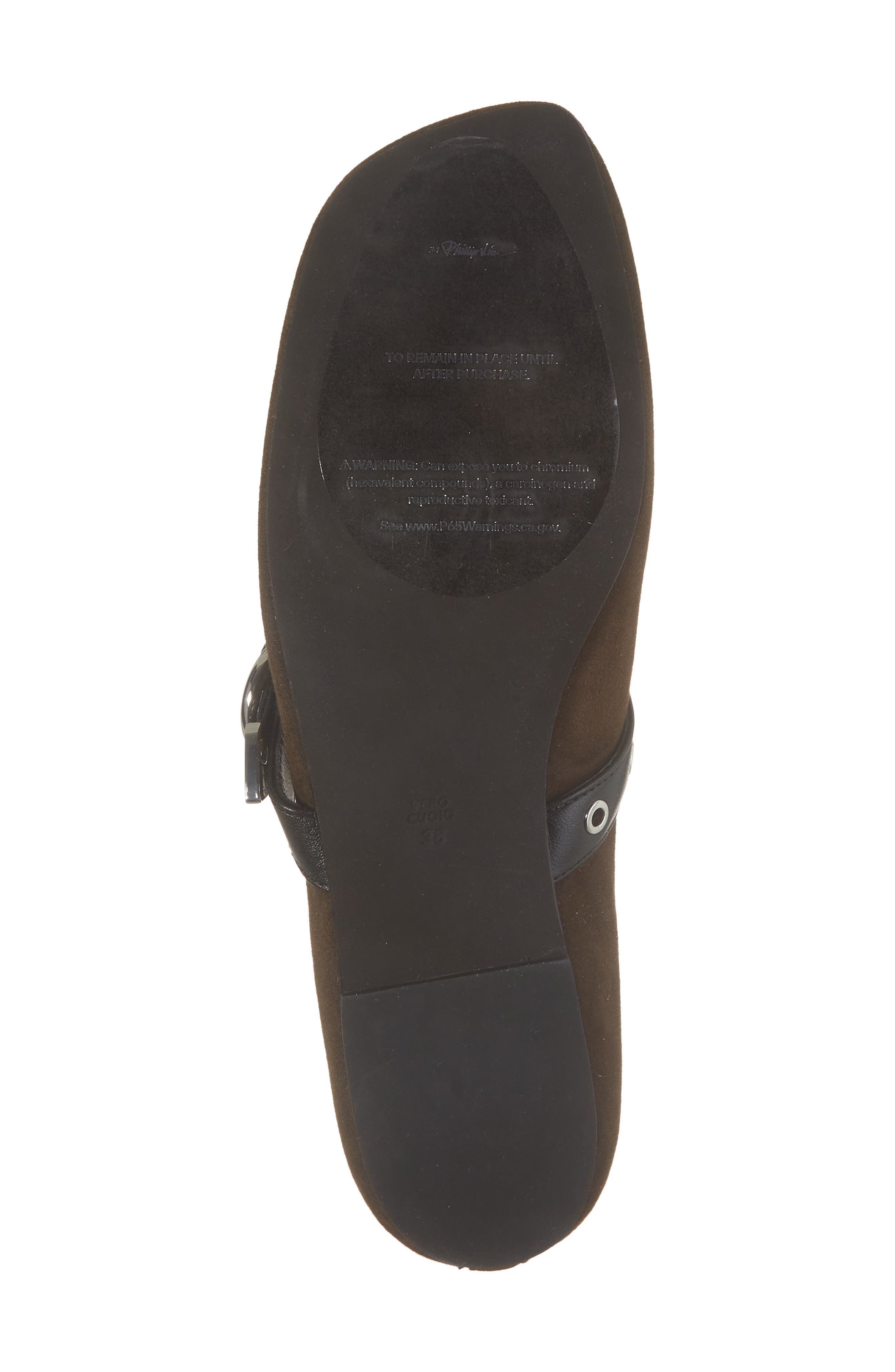 3.1 Phillip Lim Mary Jane Flat, Alternate, color, Chocolate