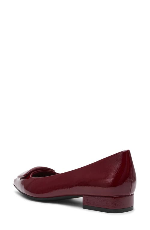 Anne Klein Crawford Pointed Toe Flat In Burgundy