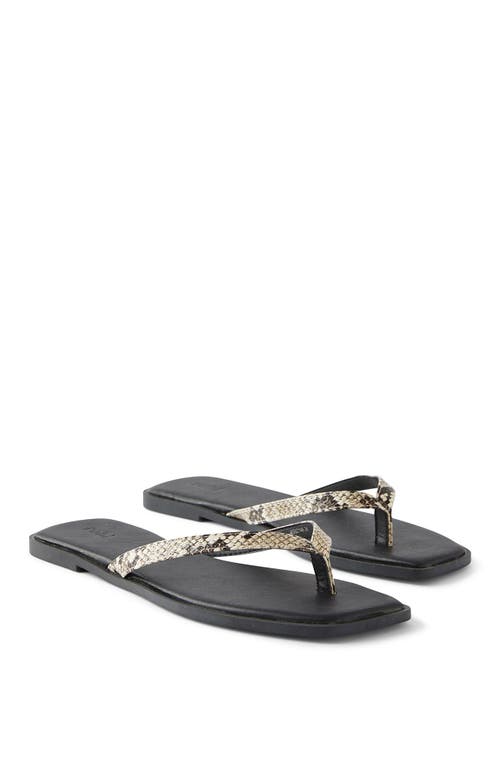 Rubi Shoes Byron Slide In Reptile