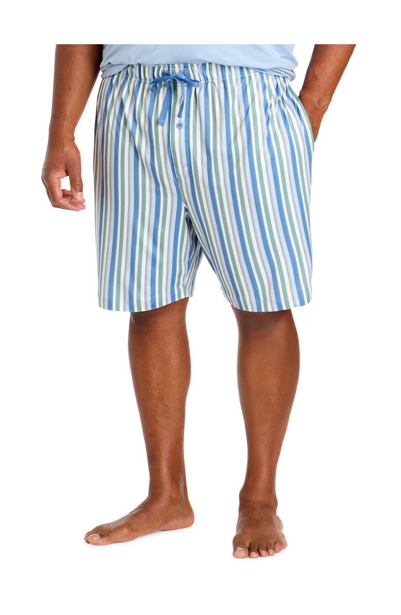 Harbor Bay by DXL Big & Tall Performance Striped Lounge Shorts, Main, color, Multi