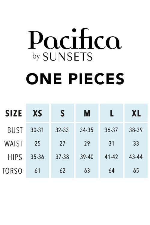 Pacifica By Sunsets Fiona One Piece Swimsuit In Purple