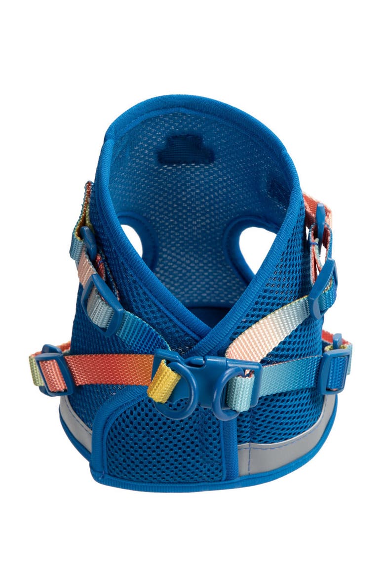 Atlas Cat Harness and Leash Set, Alternate, color, Atlas