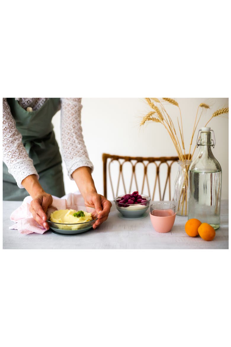 Glass Meal Set with Suction Pads, Alternate, color, EUCALYPTUS