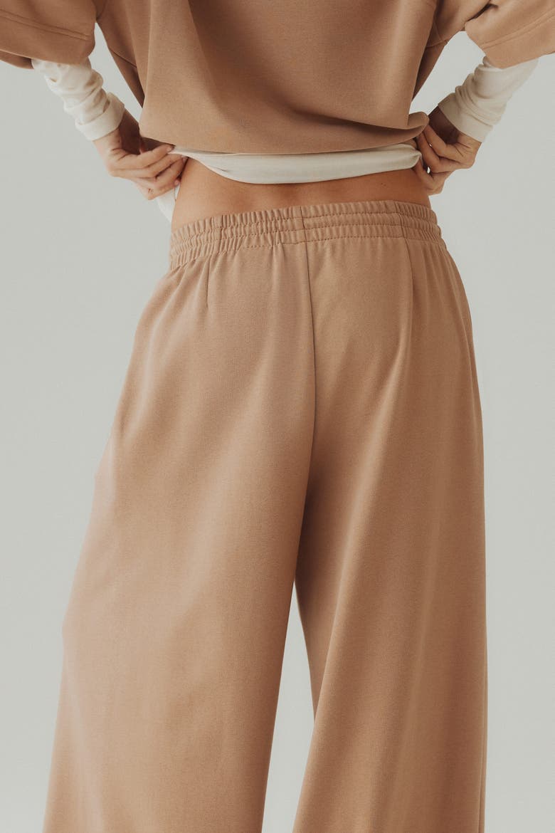 Pleat-detail Drawstring Trousers, Alternate, color, Dark beige