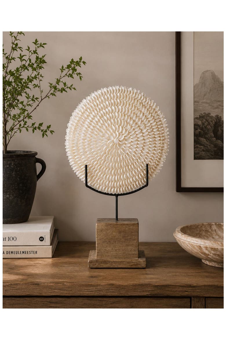 Natural Clamrose Sea Shell Décor, Alternate, color, IVORY/ NATURAL