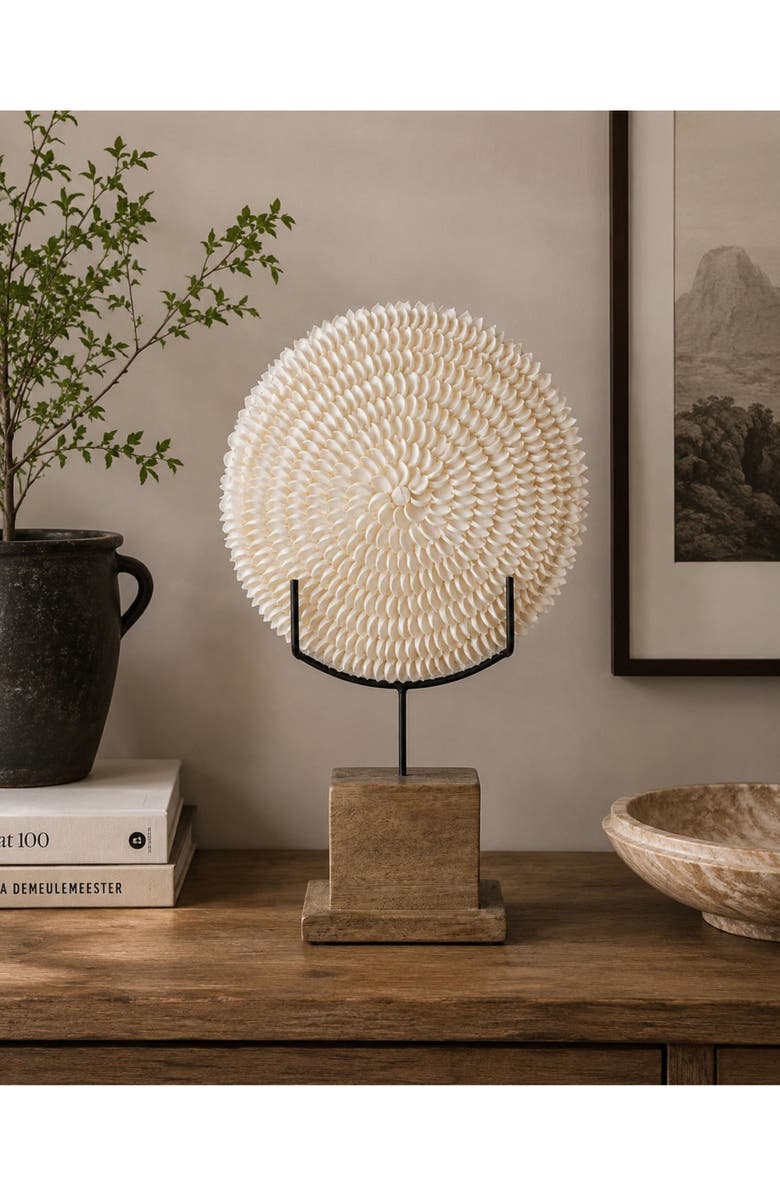 Zodax Natural Clamrose Sea Shell Décor, Alternate, color, Ivory/ Natural