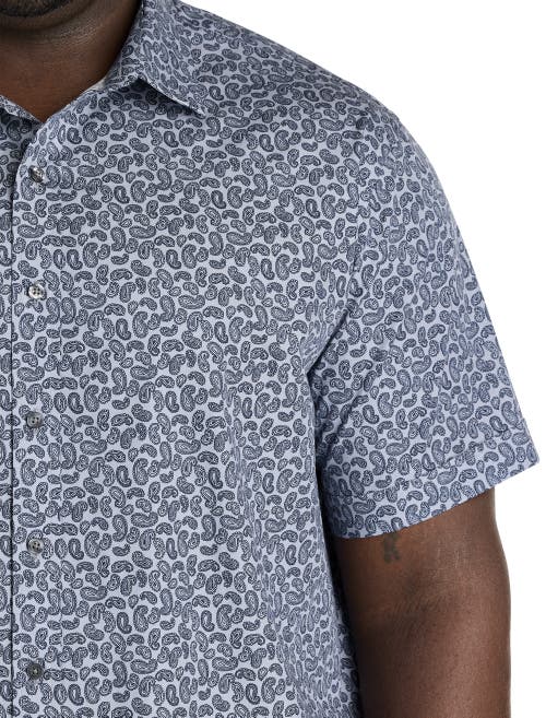 Synrgy By Dxl Big & Tall Paisley Print Sport Shirt In Grey