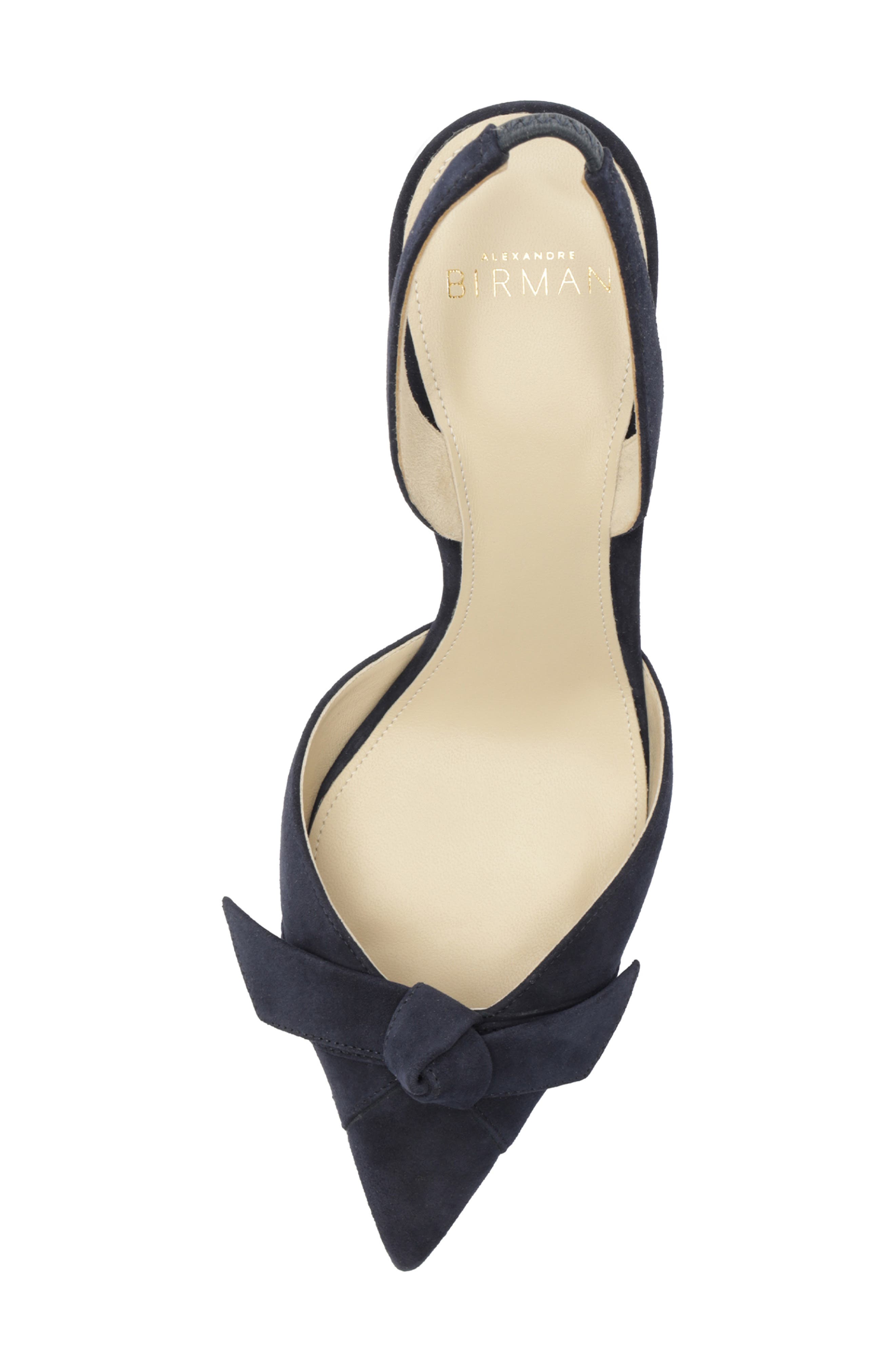 Clarita Pointed Toe Slingback Pump, Alternate, color, NAVY