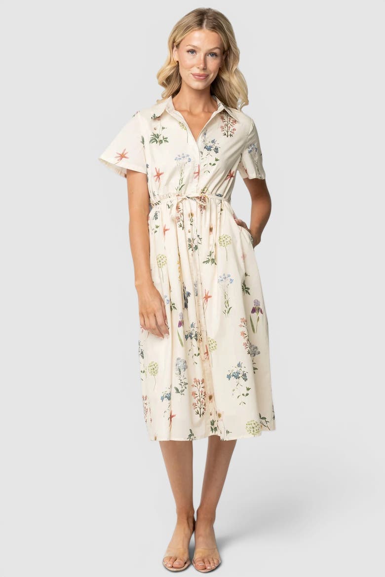 Marley Midi Dress, Main, color, Ivory + Multi Floral