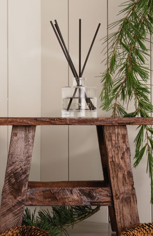 L'avant Collective Winter Fir Reed Diffuser In Green