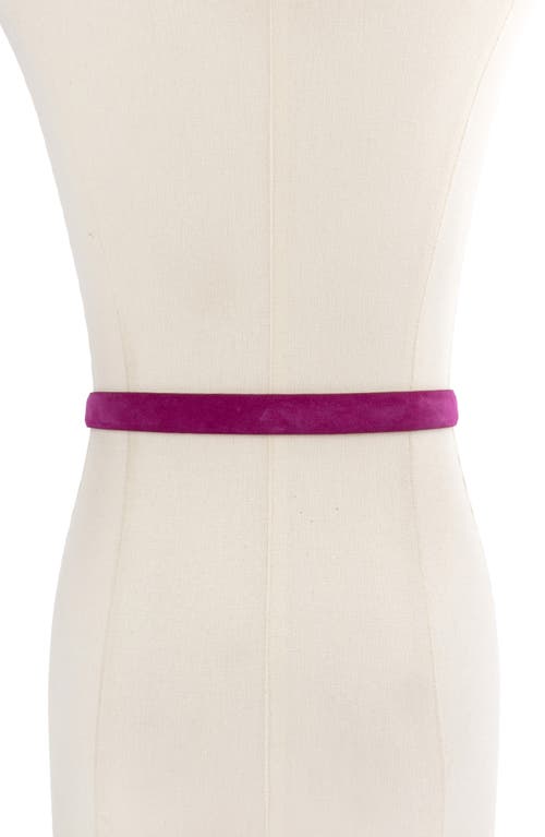 Kurt Geiger London Eagle Buckle Suede Belt In Pink